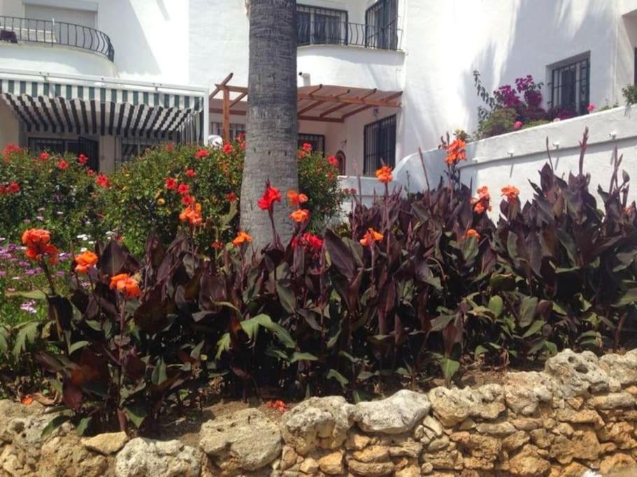 Ferienhaus Nyrenoverat! Beachfront Townhouse Med Pool Málaga